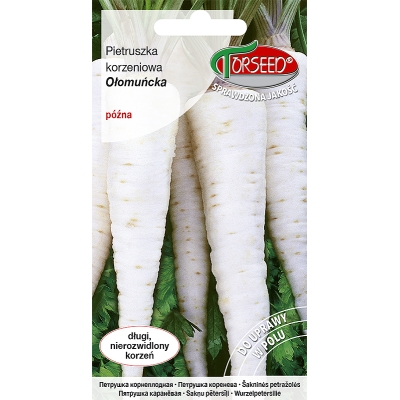 Pietruszka Ołomuńcka późna biały długi korzeń